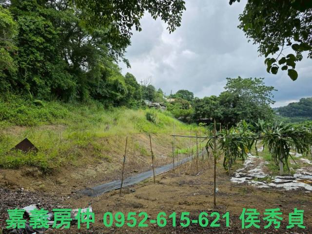卓蘭透天-10