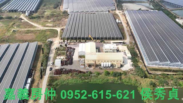 嘉義義竹廠房-1