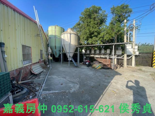 嘉義六腳牧場-11