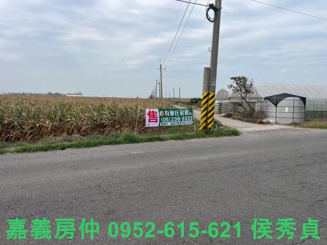 嘉義六腳牧場-0