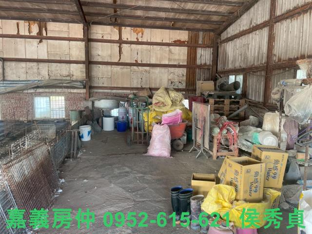 嘉義六腳牧場-2