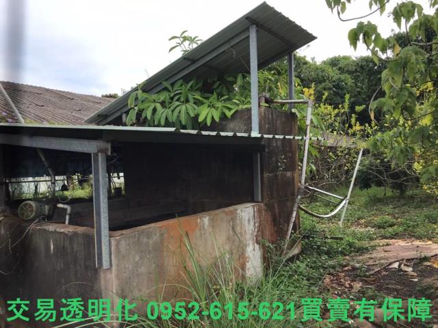 台南白河農地-9