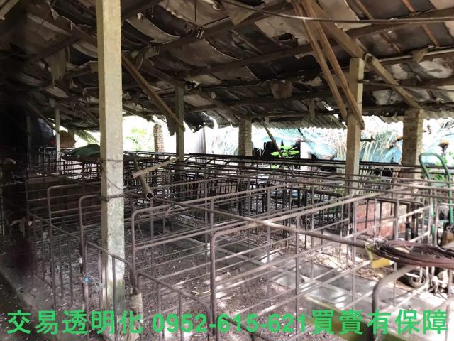 台南白河農地-3