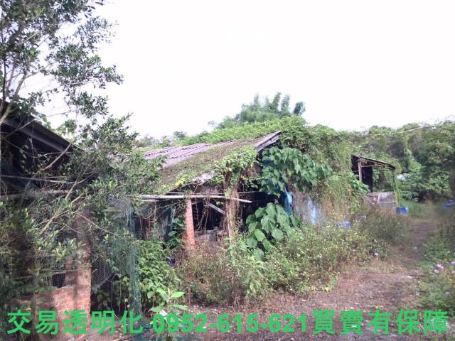 台南白河農地-4
