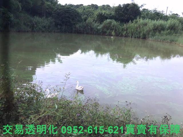 台南白河農地-7
