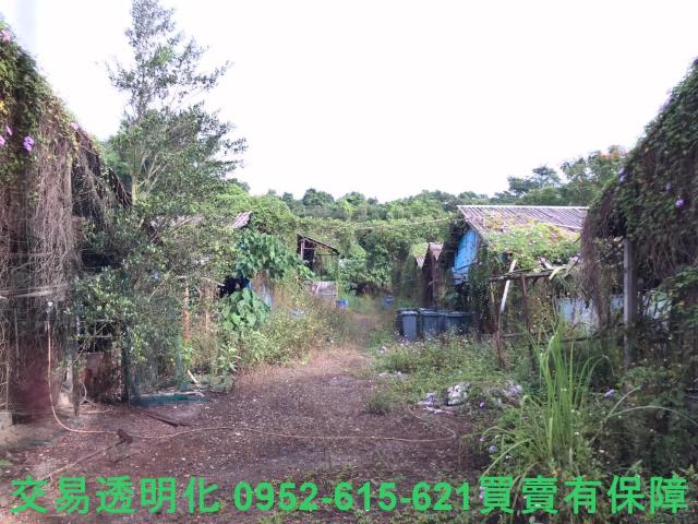 台南白河農地-8