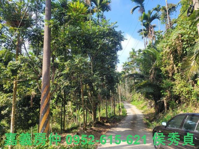 番路農地-9