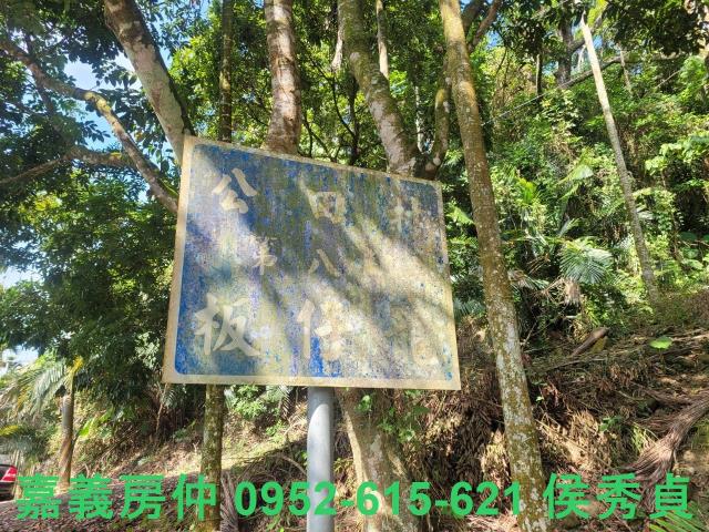 番路農地-11