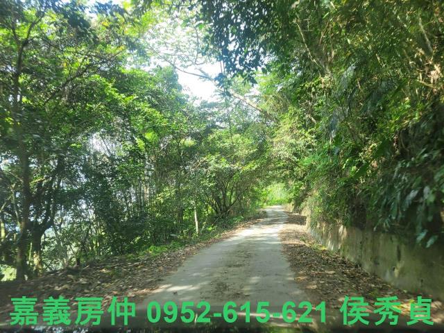 番路農地-14