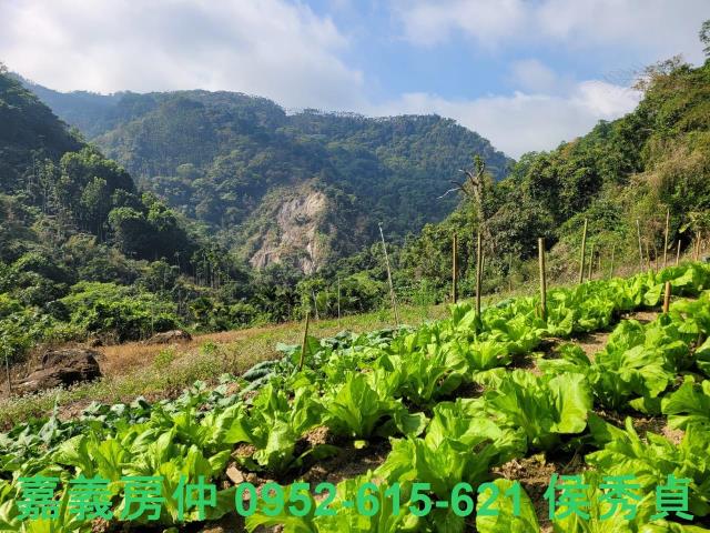 番路農地-2