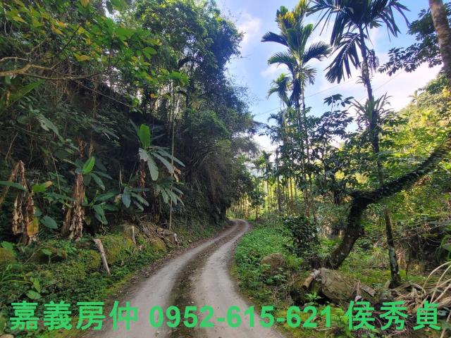 番路農地-4