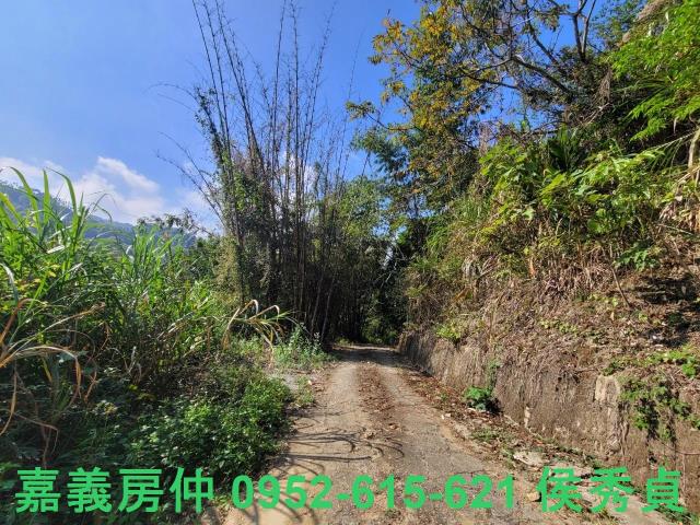 番路農地-6