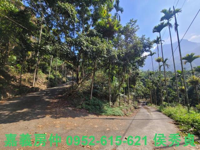 番路農地-7