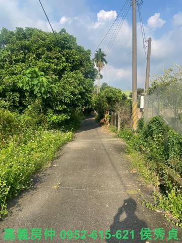 竹崎農地-5