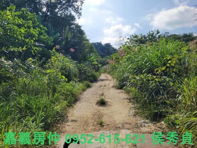 白河農地-8