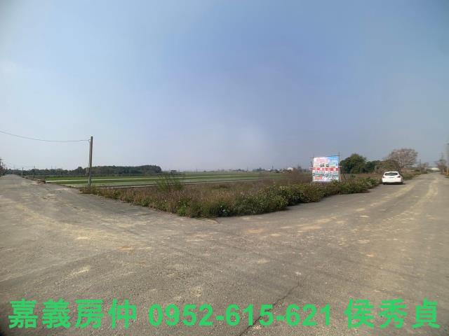 民雄農地-4