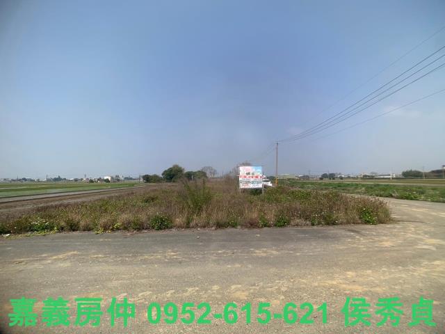 民雄農地-6