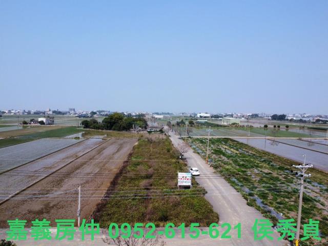 民雄農地-8