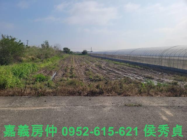 太保建地-4