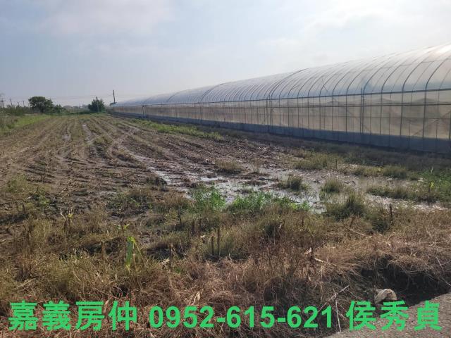 太保建地-5
