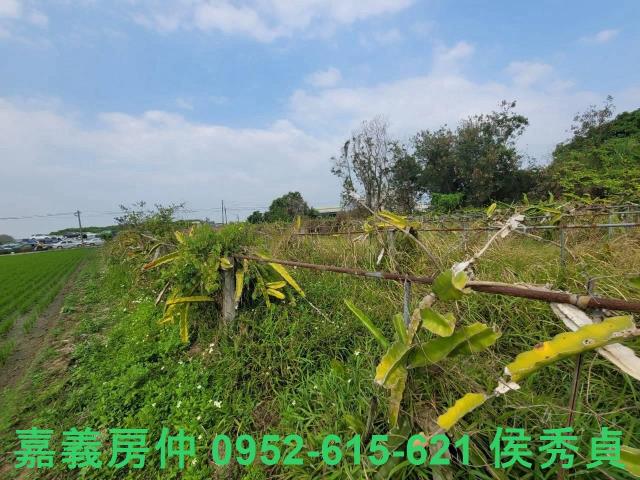 西區建地-2