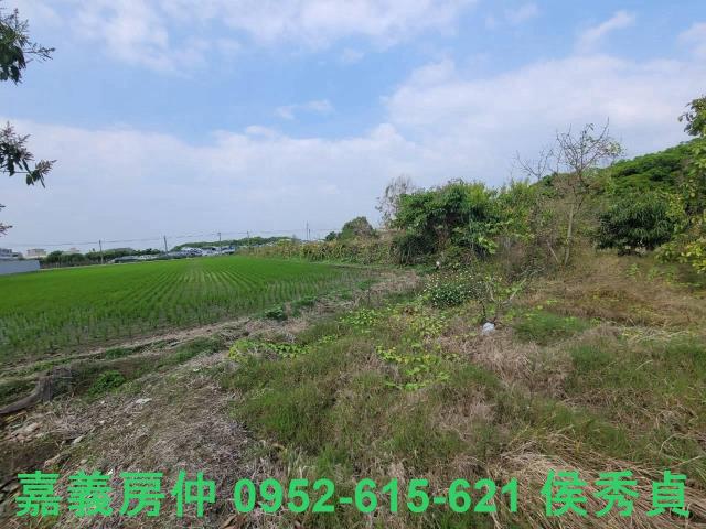 西區建地-3
