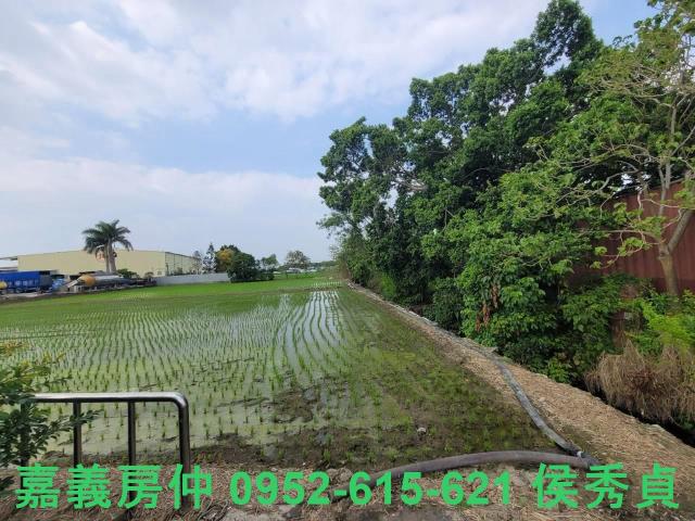 西區建地-4