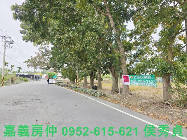 中埔農地-0