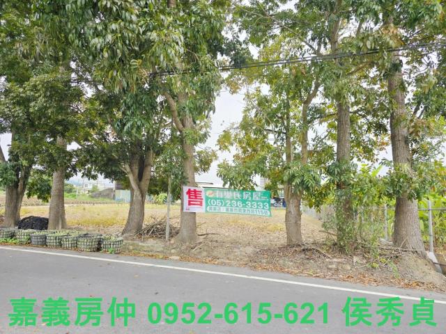中埔農地-1