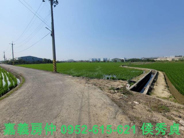 西區農地-10