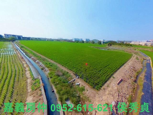 西區農地-3