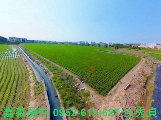 西區農地-4