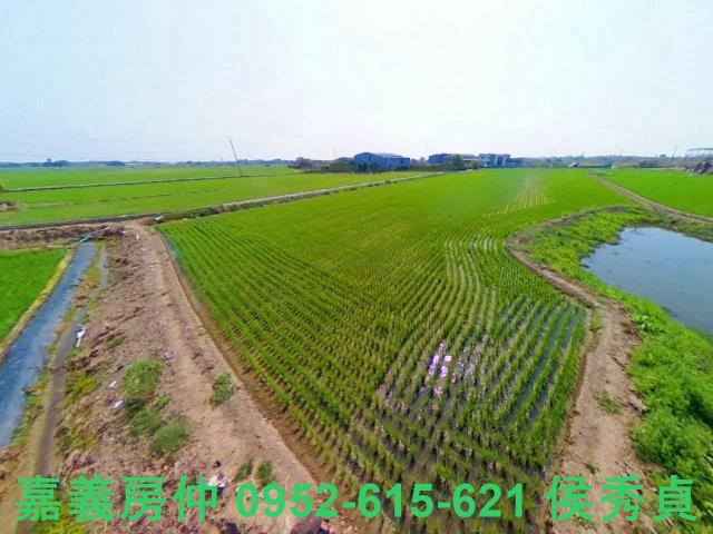 西區農地-5