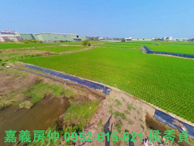 西區農地-7