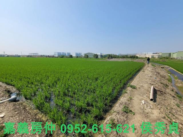 西區農地-8