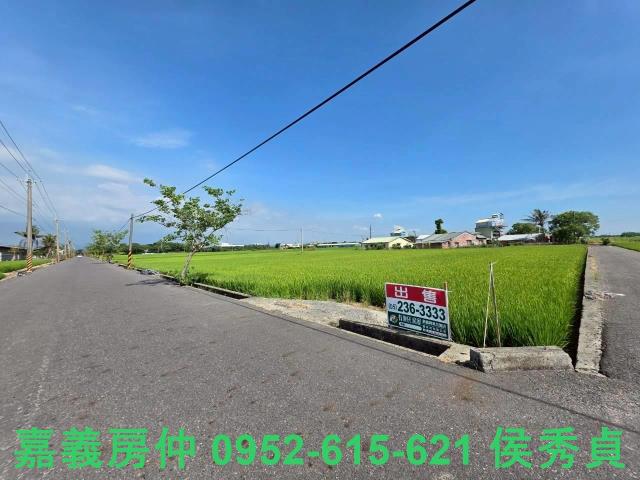 六甲農地-4