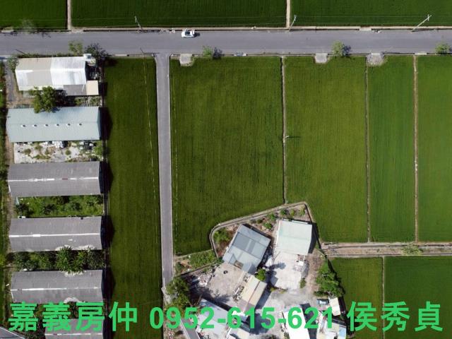 六甲農地-1