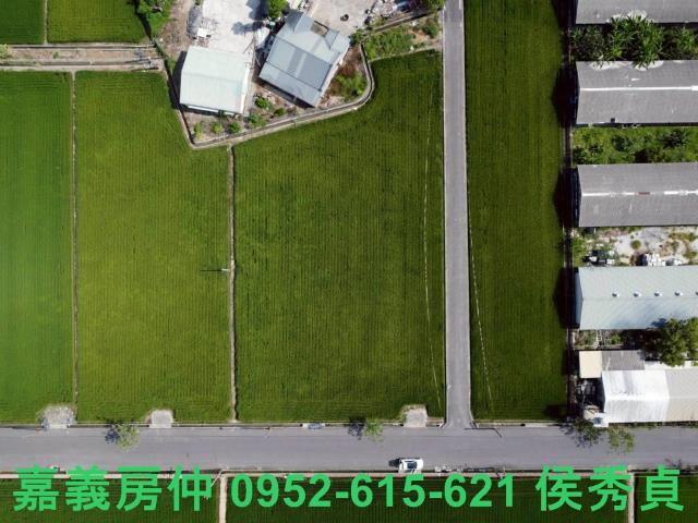 六甲農地-0