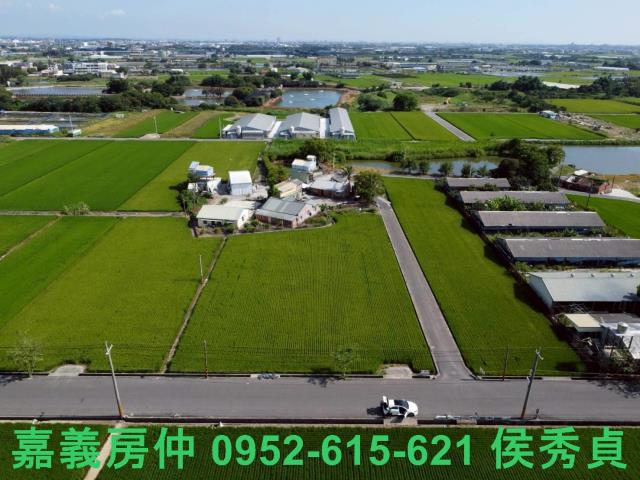 六甲農地-6