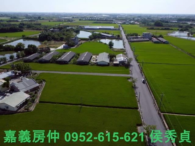 六甲農地-8