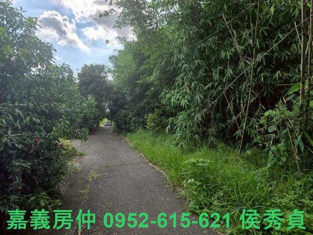 嘉義民雄農地-9
