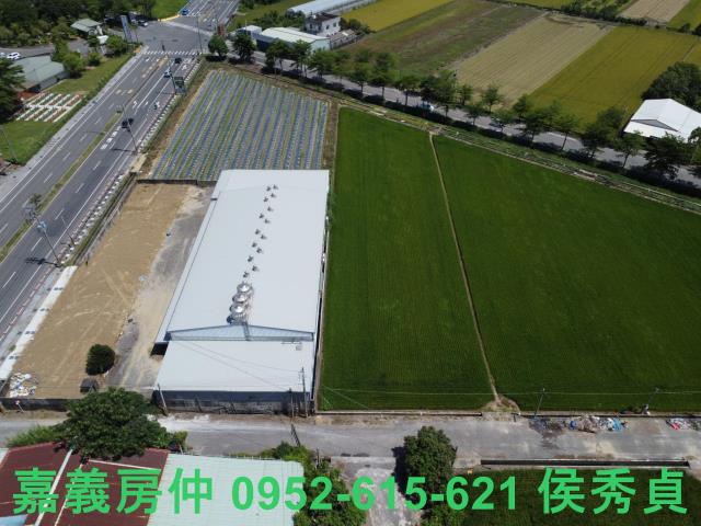嘉義新港農地-0