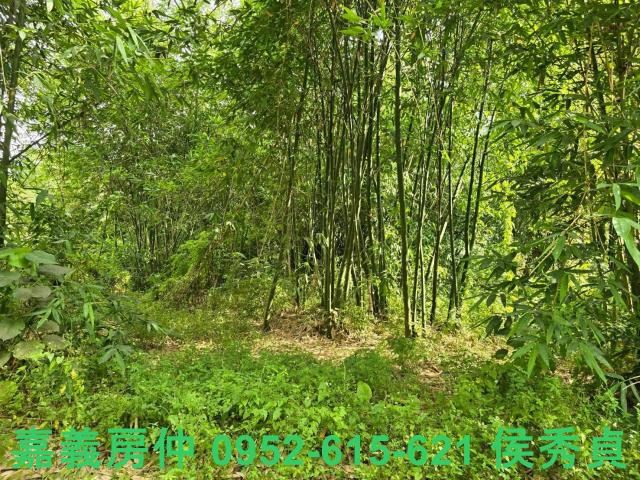 嘉義民雄建地-4