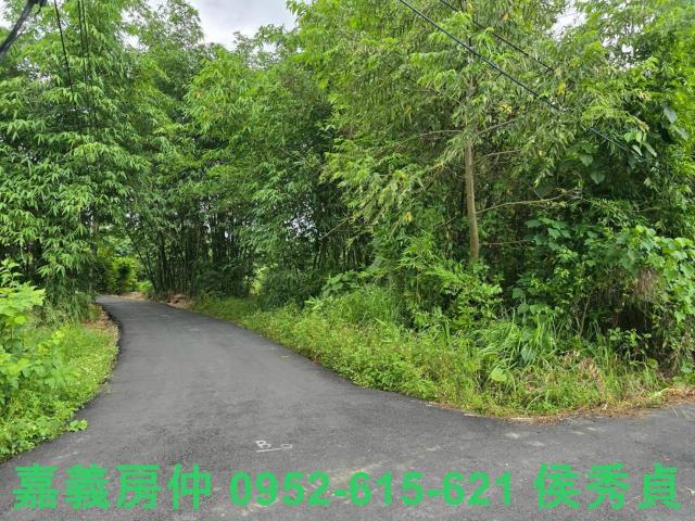 嘉義民雄建地-8