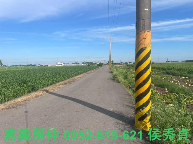 鹿草農地-2