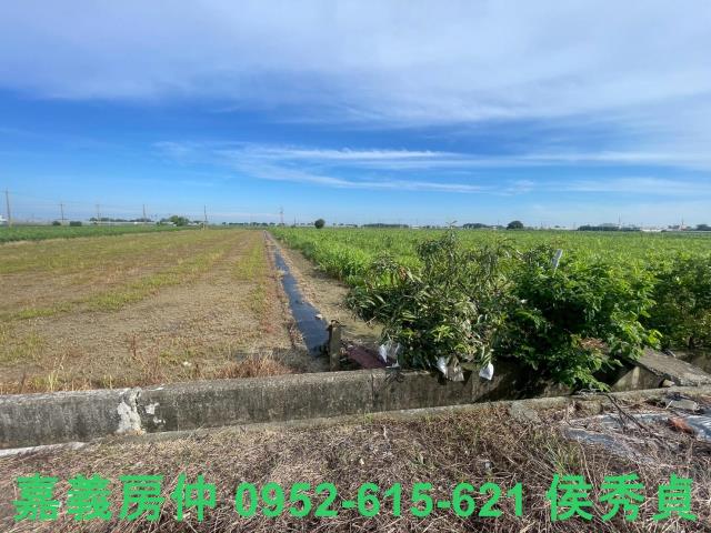 鹿草農地-6