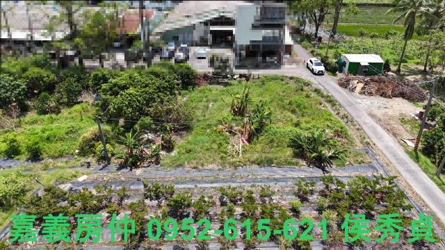 嘉義西區農地-5