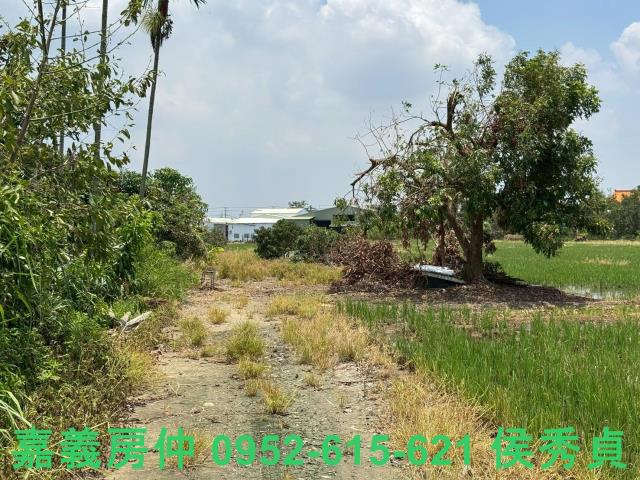 嘉義西區農地-0