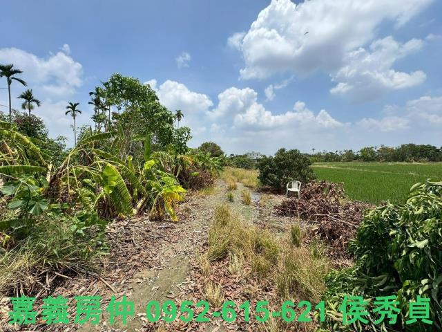 嘉義西區農地-2