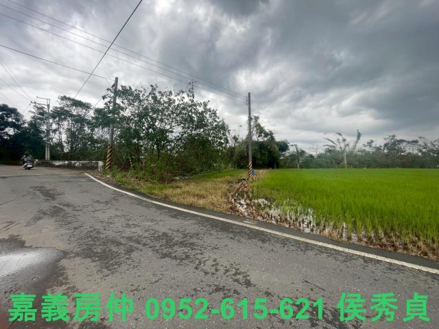 東區農地-2